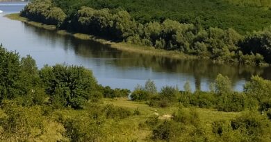 Походження назви гідронімів Вендичанка та Вінниця