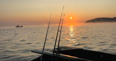 Пороги Дніпра та «шлях із варягів у греки» в праці Константина Порфірогенета «Про управління імперією»