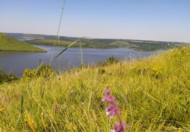 Скіфська ріка Гіпаніс (Пан)  – походження назви
