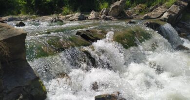 Скіфська річка Пората (Прут) і Рата – походження назви